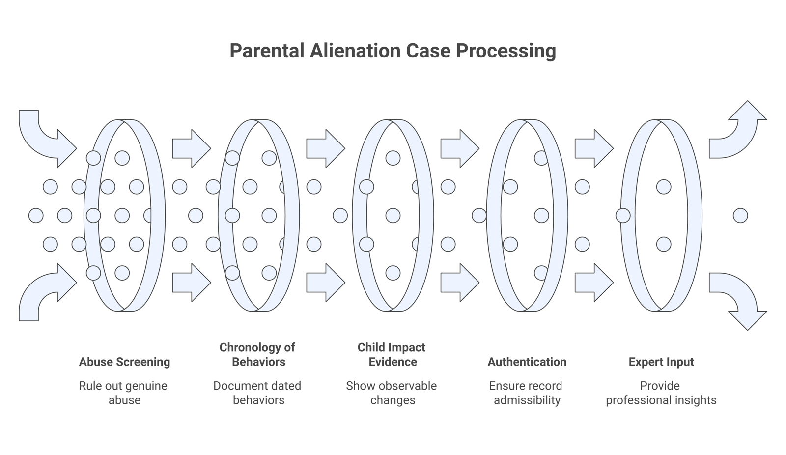 Case-file diagram: abuse screen as first gate, then a chronology of documented behaviors, child-impact evidence, authentication, and expert input.