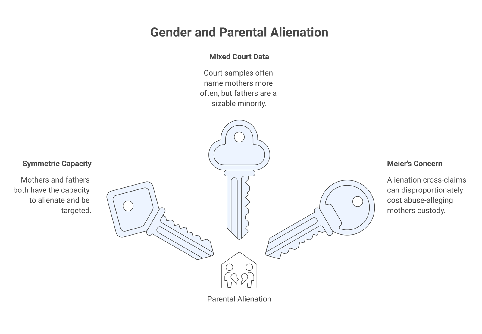 Diagram of three evidence findings: roughly symmetric capacity, mixed sample-bound court data, and the Meier gendered-outcome concern.