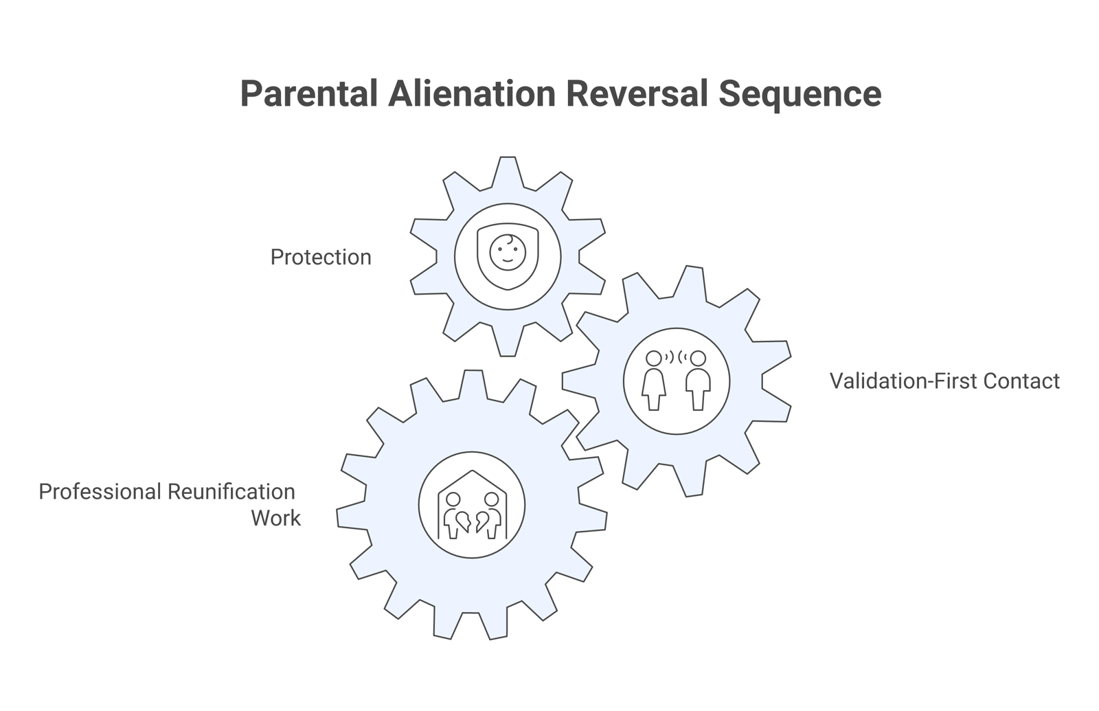 Staged sequence for reversing parental alienation, from protection through validation-first contact to professional reunification work.