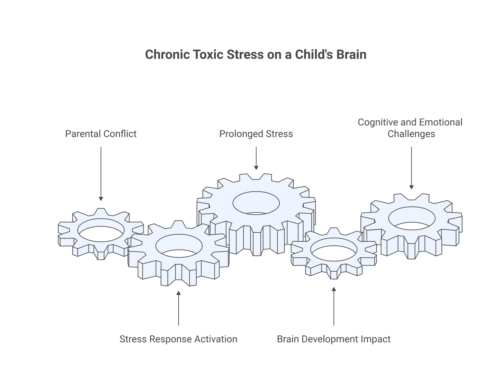 Illustration of a child's developing brain under chronic toxic stress, showing how prolonged parental conflict keeps the stress response switched on.